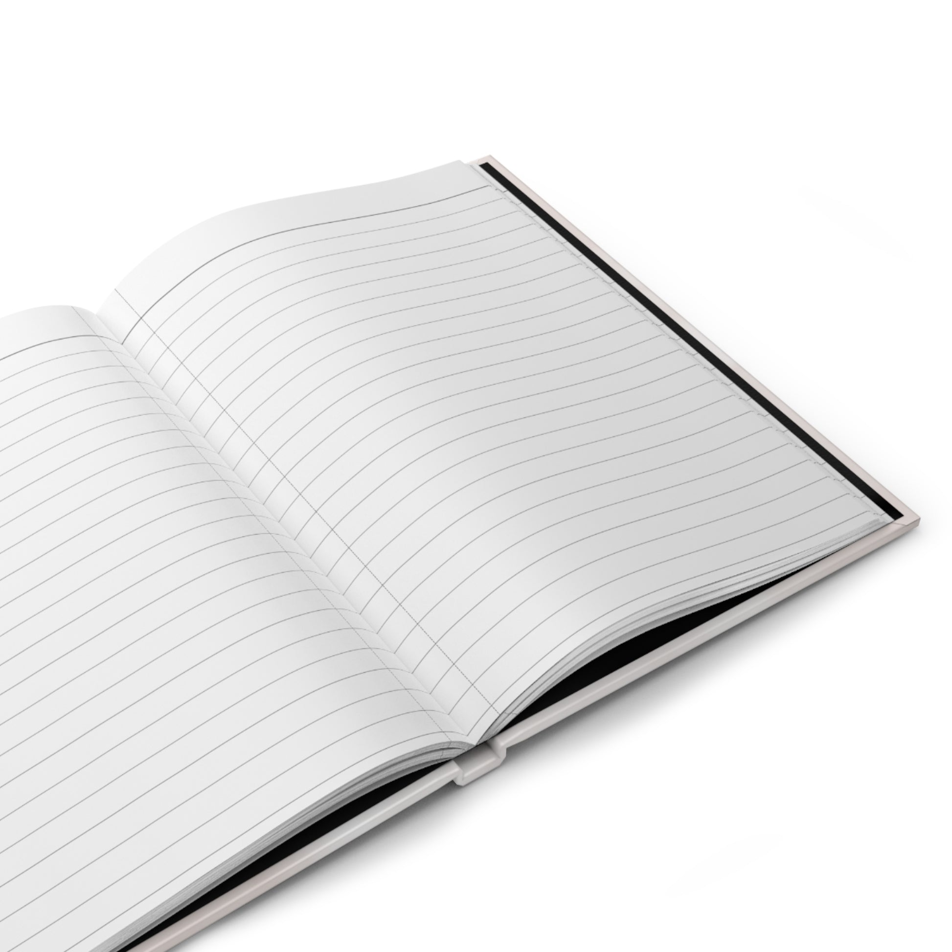 Reasons Not To Take Him Back Hardback Journal